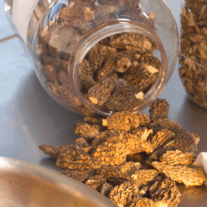 Morilles spéciales séchées - Masse