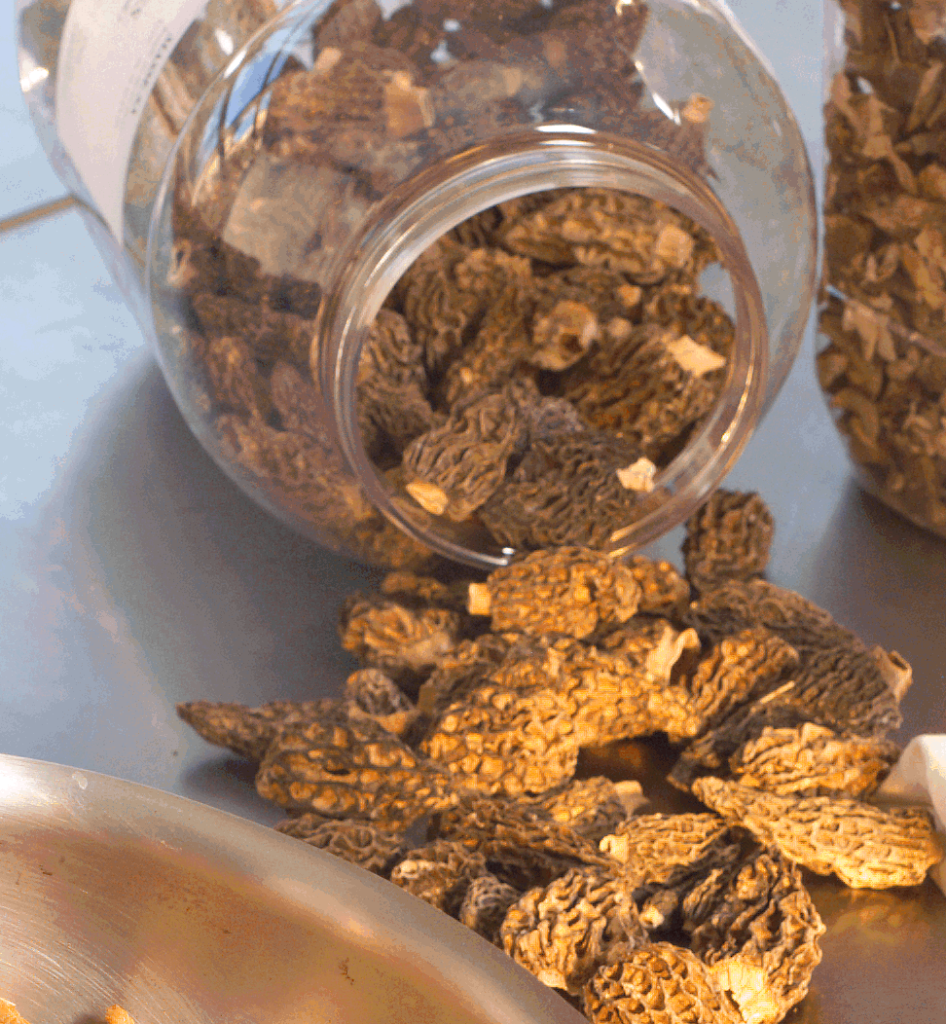 MORILLE SPECIALE SECHEE 100G