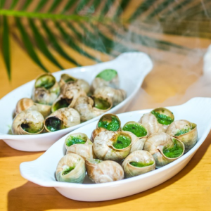 ESCARGOT GROS X48 SURG