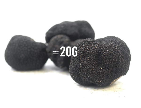 Truffe fraiche tuber melanosporum