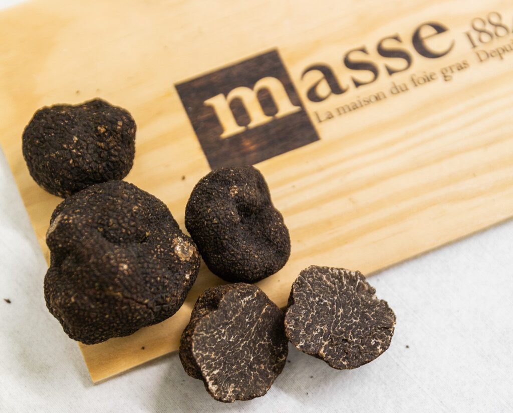 truffe mélanosporum sur planche en bois masse