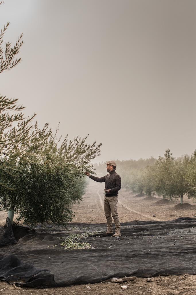 RSE portrait producteur alexis munoz dans un champ d'olivier