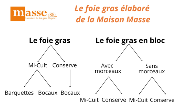 Le foie gras élaboré en schéma
